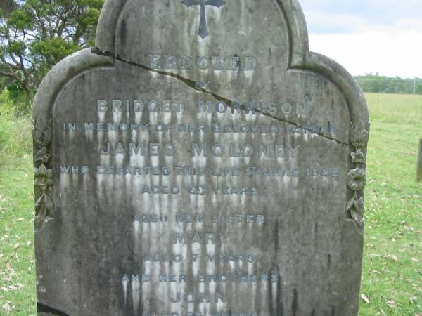 James MOLONEY, father,  | died 5 June 1952 aged 69 years;  | Mary, sister, aged 7 years;  | John, brother, aged 26 years;  | James, brother, aged 24 years;  | erected by Bridget MORRISON;  | Logan Reserve Irish Catholic Cemetery, Logan City  | 