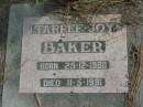 
Tarree Joy BAKER born 25-12-1980 died 11-5-1981;
Logan Village Cemetery, Beaudesert
