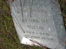 
Raymond Ian BILLEAU, 21-12-58 - 13-8-95, husband father;
Logan Village Cemetery, Beaudesert Shire
