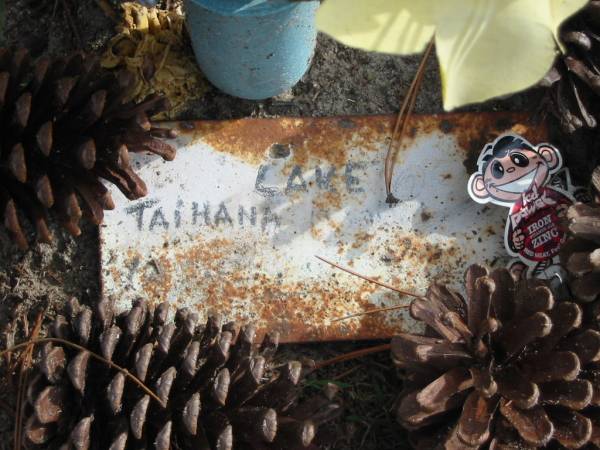 Taihana? LAKE?;  | Logan Village Cemetery, Beaudesert Shire  | 