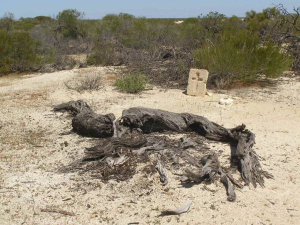 Walter MUSK  | d: 18 Oct 1911, aged 60  | lone grave at Hamelin Pool (telegraph station) WA  |   | 