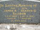 
James A. ELLISON,
dad,
died 4-2-1956 aged 41 years;
Gladys G. ELLISON,
mum,
died 24-11-1967 aged 59 years;
Lower Coomera cemetery, Gold Coast
