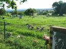 
St Michaels Catholic Cemetery, Lowood, Esk Shire
