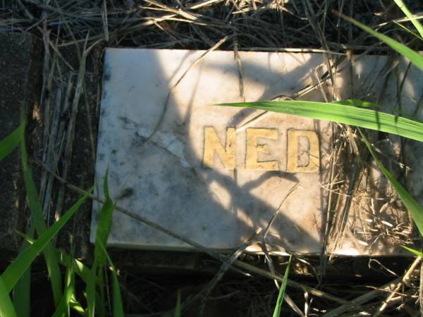 Edward (Ned) O'CONNOR,  | died 22 Aug 1944 aged 71 years;  | St Michael's Catholic Cemetery, Lowood, Esk Shire  | 