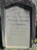 
William Joseph GUTTERIDGE
7 Sep 1923, aged 74
Lowood General Cemetery
