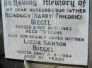
Heindrich (Harry) Friedrich BIEGEL
18 Nov 1963, aged 75
Lizzie Samson BIEGEL
2 Aug 1984, aged 91
Lowood General Cemetery

