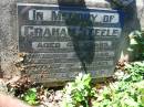 
Graham STEELE
aged 46
(husband of Irene, father of Michael, Michekke, Kylie)
Lowood General Cemetery

