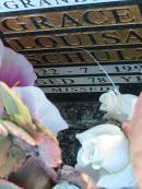 David Erich SCHULZ, died 2-11-2001 aged 88 years, father grandfather great-grandfather;
Grace Louisa SCHULZ, died 22-7-1994 aged 78 years; mother grandmother great-grandmother;
Lowood Trinity Lutheran Cemetery (Bethel Section), Esk Shire