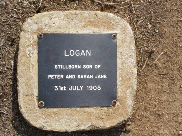 son of Peter & Sarah Jane LOGAN  | stillborn 31 July 1905;  | Ma Ma Creek Anglican Cemetery, Gatton shire  | 