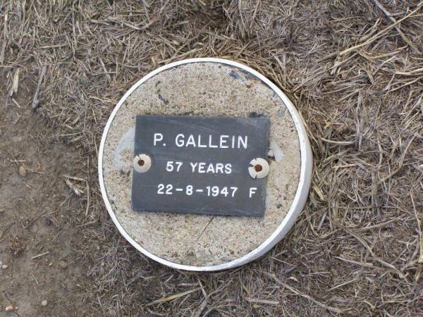 P. GALLEIN, female,  | died 22-8-1947 aged 57 years;  | Ma Ma Creek Anglican Cemetery, Gatton shire  | 
