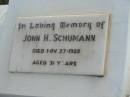 John H. SCHUMANN,
died 27 Nov 1929 aged 31 years;
Marburg Lutheran Cemetery, Ipswich