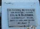 Colin N. BLIESNER, son brother,
accidentally killed 13 Sept 1952 aged 23 years;
Marburg Lutheran Cemetery, Ipswich