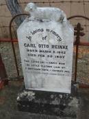 Carl Otto REINKE,
born 3 March 1902 died 25 Feb 1907;
Marburg Lutheran Cemetery, Ipswich