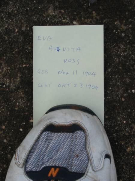 Eva Augusta VOSS,  | born 11 Nov 1904 died 23 Oct? 1908;  | Marburg Lutheran Cemetery, Ipswich  | 