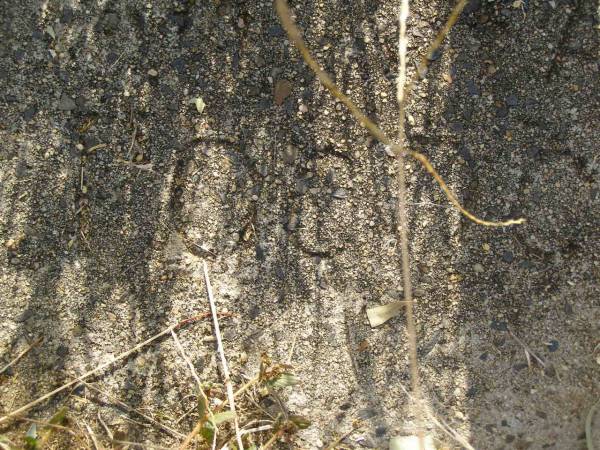 Mary Anne POCOCK;  | Maroon General Cemetery, Boonah Shire  | 