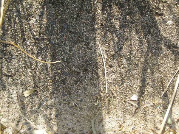 Mary Anne POCOCK;  | Maroon General Cemetery, Boonah Shire  | 