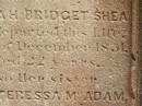 Sarah Bridget SHEA,
died 5? Dec 1851 aged 22 years;
Ann Teressa MCADAM,
sister,
died 3? Feb 1850 aged 22 years;
erected by John SHEA;
Phelip Agustin MCADAM,
drowned at sea 1852 aged 18 years;
Susanah Mary MCADAM,
drowned at sea 1852 aged 20 years;
Pioneer Cemetery, Maryborough