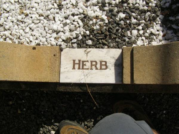 Herbert F. LUCHT,  | husband father,  | 1901 - 1941;  | Meringandan cemetery, Rosalie Shire  | 
