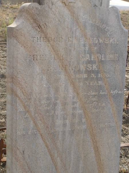 Carl BARTKOWSKI,  | husband of Wilhelmina BARTKOWSKI,  | born Mourengen? Germany 7? Sept 1831,  | died 22 Feb 1916 aged 83 years;  | Minnie BARTKOWSKI,  | mother,  | died 13 Apr 1933 aged 89 years;  | Thedor BARTKOWSKI,  | son of Fredick & Caroline BARTKOWSKI,  | died 5 Nov 1915 in 13th year;  | Meringandan cemetery, Rosalie Shire  | 
