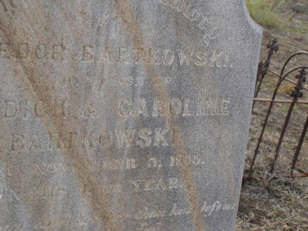 Carl BARTKOWSKI,  | husband of Wilhelmina BARTKOWSKI,  | born Mourengen? Germany 7? Sept 1831,  | died 22 Feb 1916 aged 83 years;  | Minnie BARTKOWSKI,  | mother,  | died 13 Apr 1933 aged 89 years;  | Thedor BARTKOWSKI,  | son of Fredick & Caroline BARTKOWSKI,  | died 5 Nov 1915 in 13th year;  | Meringandan cemetery, Rosalie Shire  | 