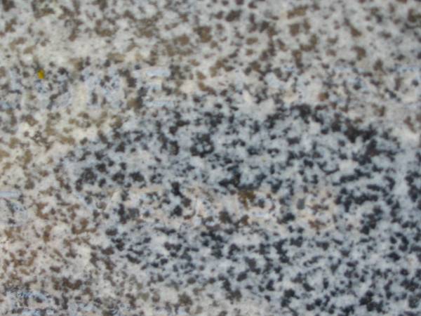 Edward Charles TROUSDELL,  | died 5 June 1953? aged 65 years;  | Meringandan cemetery, Rosalie Shire  |   | 