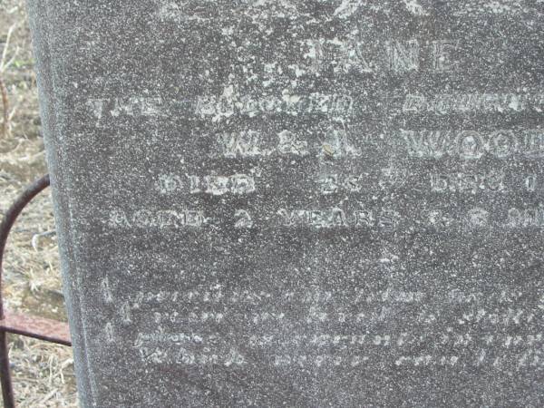 Jane,  | daughter of W. & I. WOOD,  | died 28? Dec 1893 aged 2 years 6 months;  | Meringandan cemetery, Rosalie Shire  | 