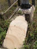 
F.E.C. DRAHEIM, nee KAMP,
born 18 Aug 1818 died 30 June 1898;
Milbong St Lukes Lutheran cemetery, Boonah Shire
