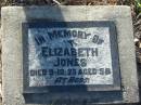 Elizabeth JONES
died 9 Dec 1923 aged 58
MindenCoolana - St Johns Lutheran