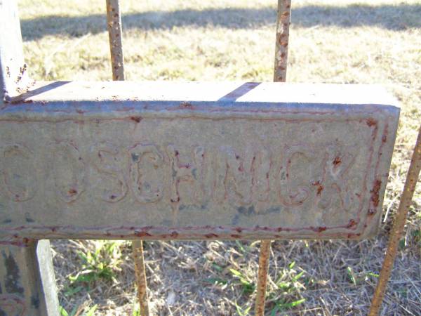 Heindrick Carl GOSCHNICK,  | 1837 - 1883;  | St Johns Evangelical Lutheran Church, Minden, Esk Shire  | 