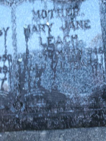 Samuel Saxby LEACH.  | father,  | died 8 July 1950 aged 80? years;  | Mary Jane LEACH,  | mother,  | died 26 March 1946 aged 71 years;  | Mooloolah cemetery, City of Caloundra  |   |   | 