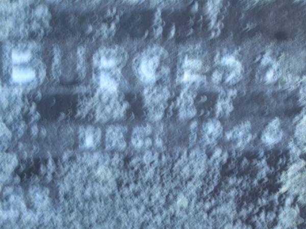 Robert Samuel BURGESS,  | accidentally killed 27 Dec 1946 aged 25 years;  | Mooloolah cemetery, City of Caloundra  |   |   | 