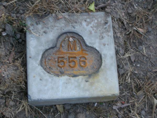 Mooloolah cemetery, City of Caloundra  |   |   | 