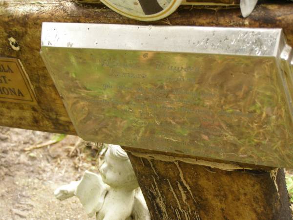 Dennis LAWSEN,  | 23-12-52 - 10-10-98,  | husband of Pamela (reunited),  | father of Fiona,  | brother of Fran, Terri, Rhonda, Jill,  | Tony, Mark & Paul;  | Mooloolah cemetery, City of Caloundra  | 