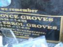 
Norman Joyce GROVES,
8-12-26 - 7-8-03;
William Errol GROVES,
18-2-25 - 17-8-03;
parents grandparents great-grandparents;
Mooloolah cemetery, City of Caloundra


