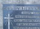
Terry Glenn LINWOOD,
born 17-2-1984,
died 6-7-1985;
Mooloolah cemetery, City of Caloundra

