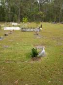 
Mooloolah cemetery, City of Caloundra

