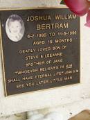 
Joshua William BERTRAM,
6-2-1995 - 11-5-1996 aged 15 months,
son of Steve & Leeanne,
brother of Jake;
Mooloolah cemetery, City of Caloundra
