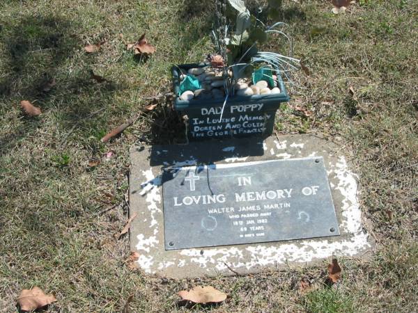 Walter James MARTIN,  | dad poppy,  | died 18 Jan 1982 aged 69 years,  | remembered by Doreen & Colin & the George family;  | Moore-Linville general cemetery, Esk Shire  | 