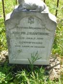 
Joseph J. HAWTHORNE,
died 7 Jan 1910 aged 2 years;
Moore-Linville general cemetery, Esk Shire
