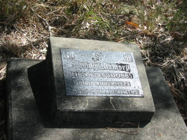 Henry C DOBBS  | 8 Aug 1929  | Aged 1 year 4 months  |   | Mt Walker Historic/Public Cemetery, Boonah Shire, Queensland  |   | 