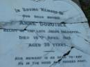 
Jacob HOLZAPFEL
(husband of Anna Dorathea HOLZAPFEL)
b: 19 Apr 1863, d: 26 May 1907
Anna Dorothea
(relict of Jacob HOLZAPFEL)
d: 14 Apr 1913, d: 39

Hannah and Charles

Mt Cotton  Gramzow  Cornubia  Carbrook Lutheran Cemetery, Logan City

