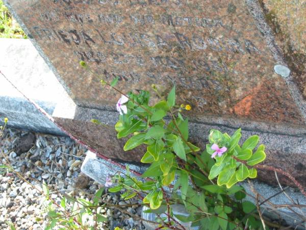 Jacob HOLZAPFEL  | 13 Oct 1950, aged 68  | (wife and our mother)  | Frieda Louisa Rosina (HOLZAPFEL)  | 27 May 1981, aged 91  | Mt Cotton / Gramzow / Cornubia / Carbrook Lutheran Cemetery, Logan City  |   | 