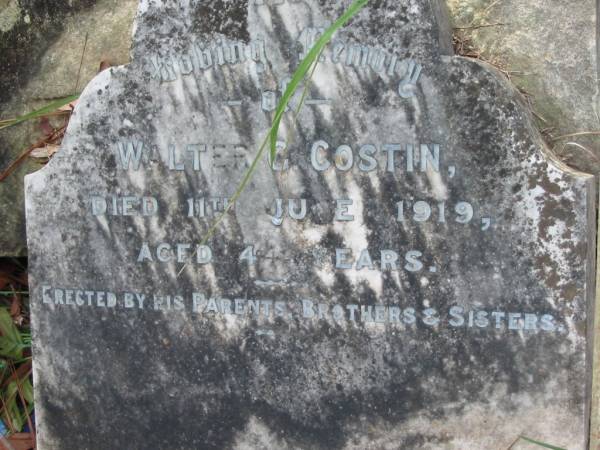 Walter G COSTIN  | 11 Jun 1919, aged 44  | Mt Cotton / Gramzow / Cornubia / Carbrook Lutheran Cemetery, Logan City  |   | 