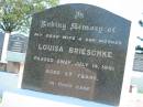 Louisa BRIESCHKE
14 Jul 1961, aged 57
Mount Beppo Apostolic Church Cemetery