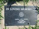 Carol Joy TESKE
stillborn 13 Aug 1953
Mount Beppo Apostolic Church Cemetery