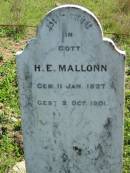 H,E. MALLONN,
born 11 Jan 1827 died 2 Oct 1901;
Mt Beppo General Cemetery, Esk Shire