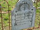 Lauret GUTZKE,
born 28 Oct 1825 died 10 Oct 1908;
Mt Beppo General Cemetery, Esk Shire