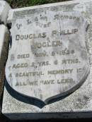 Douglas Phillip VOGLER,
died 9 Nov 1926 aged 2 years 6 months;
Mt Beppo General Cemetery, Esk Shire