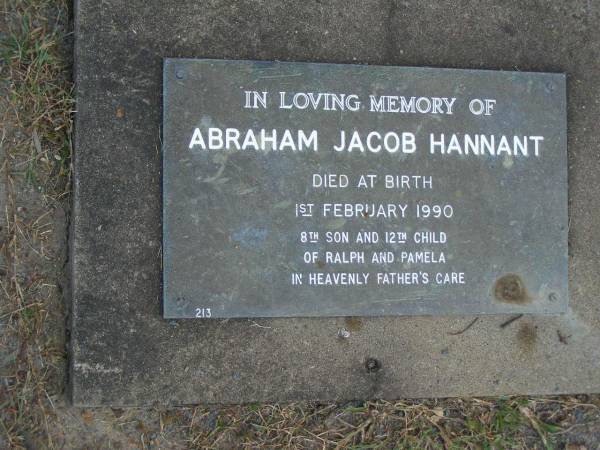 Abraham Jacob HANNANT,  | died at birth 1 Feb 1990,  | son of Ralph & Pamela;  | Mudgeeraba cemetery, City of Gold Coast  | 
