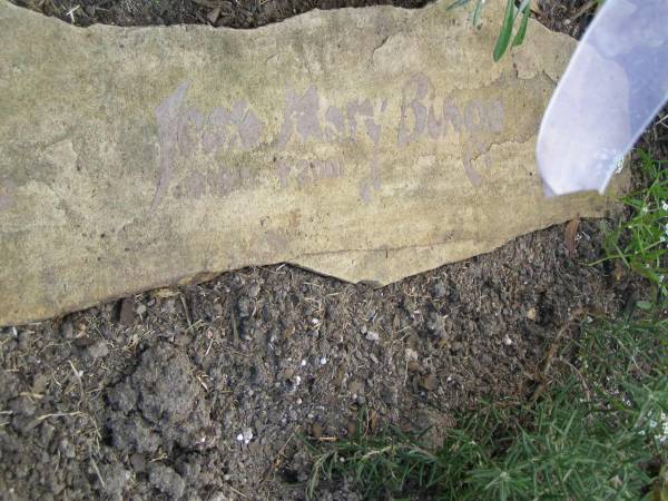 Jean Mary BINGO,  | 1915 - 2001;  | Mudgeeraba cemetery, City of Gold Coast  | 